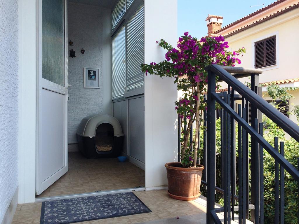 Apartments Kolorcek Изола Экстерьер фото